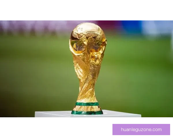 路透社：FIFA官员考察印度世界杯转播尚未最终确定
